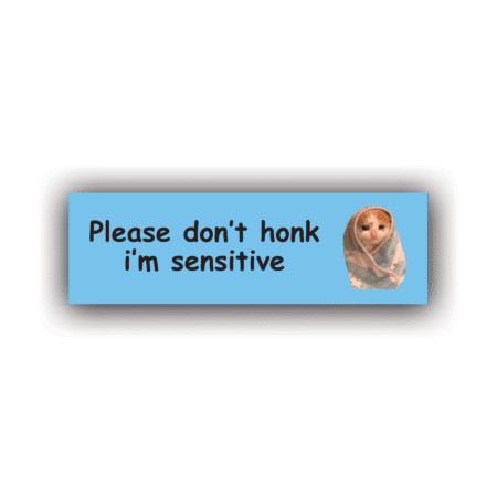 PLEASE DON'T HONK I'M SENSITIVE