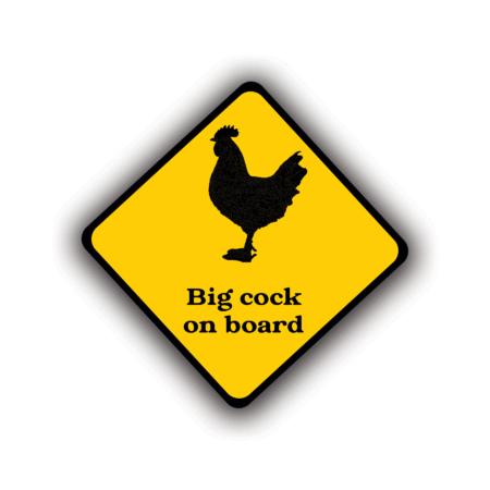 BIG COCK ON BOARD
