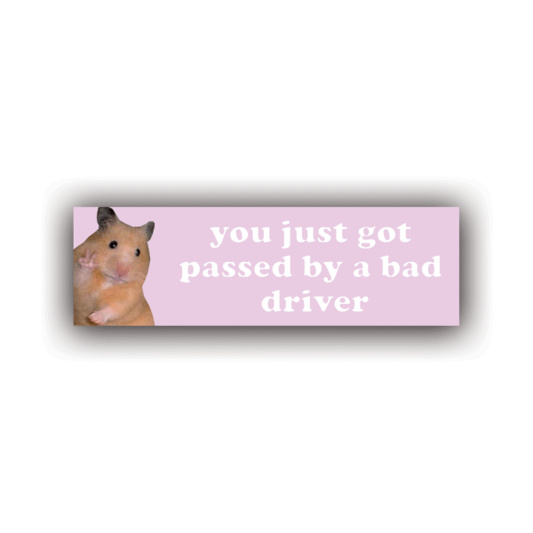 YOU JUST GOT PASSED BY A BAD DRIVER